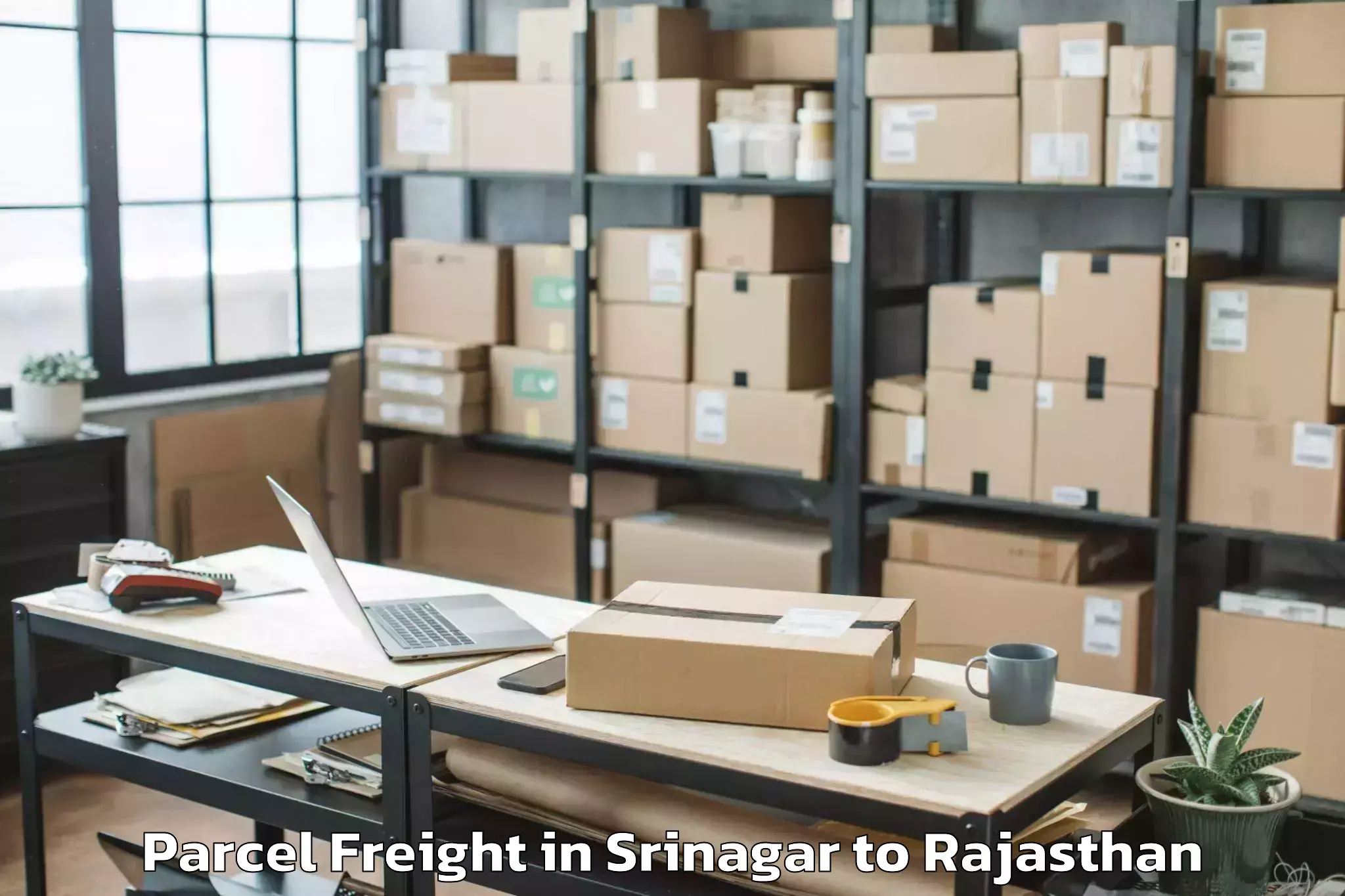 Top Srinagar to Reengus Parcel Freight Available